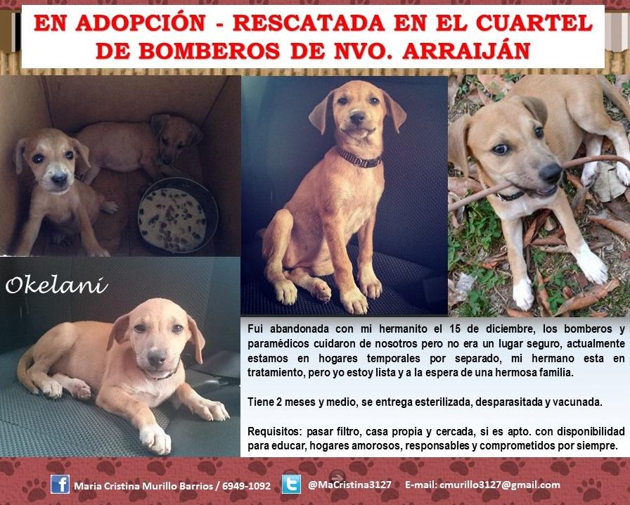 EN ADOPCION RT PLISS <a href="/la_cascara/">LaCascara.TV</a> <a href="/DavisZone/">Ubaldo Davis Senior 🇵🇦</a> <a href="/tvntrafico/">Trafico Urbano</a> <a href="/Rolysterling/">Rolando Sterling 🇵🇦</a> @RobaMorena <a href="/FeriaYoReciclo/">Feria Yo Me Reciclo</a> <a href="/PanamaPuntoCom/">Jayden 😈</a> :)