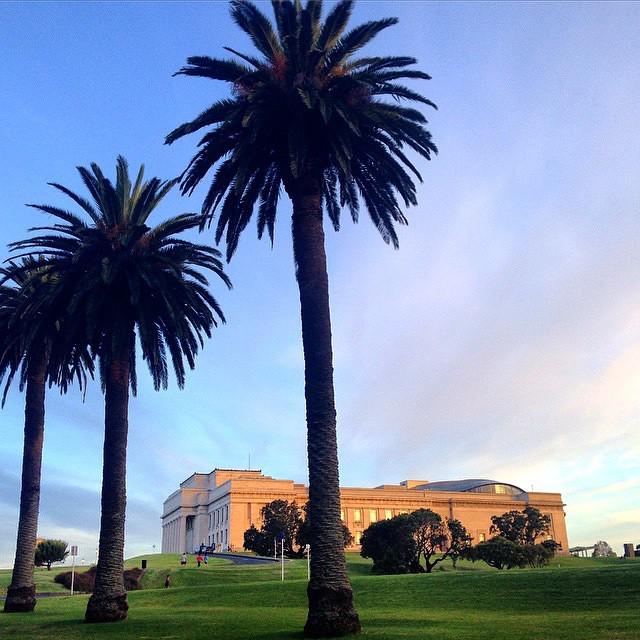 eyeonauckland's tweet photo. Auckland Domain / #regram @usernamesaretough on @instagram http://t.co/zEDPlHiANR