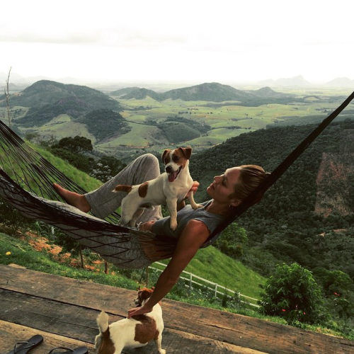 Domozoom tweet media