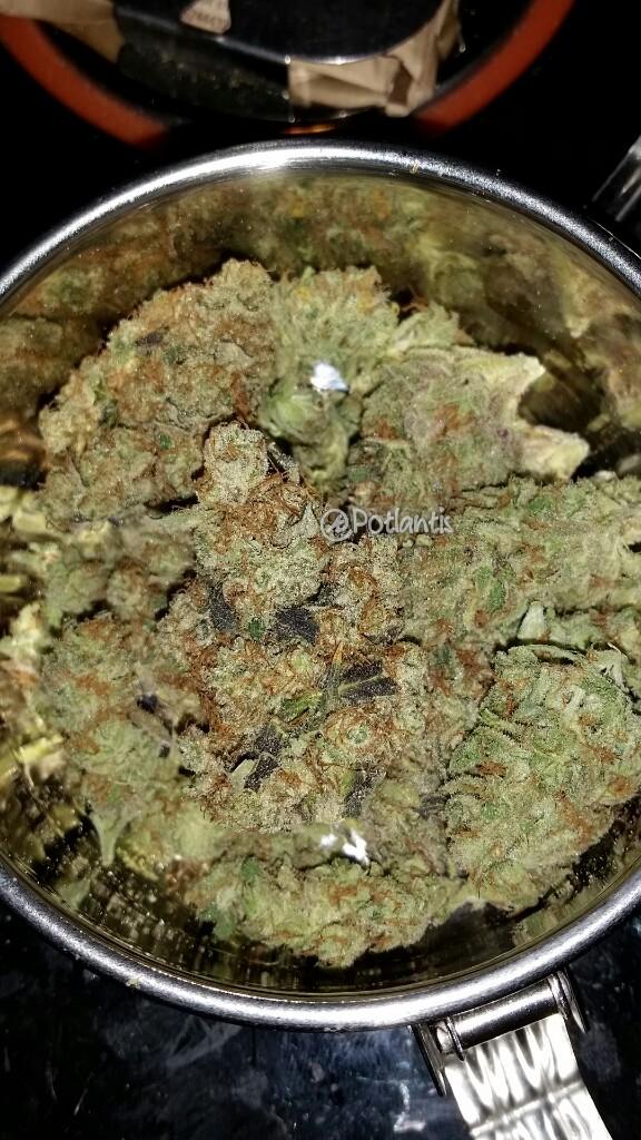 DaJooosh's tweet photo. My bowl of weedies! #Cheesel http://t.co/LcVpjY38mz