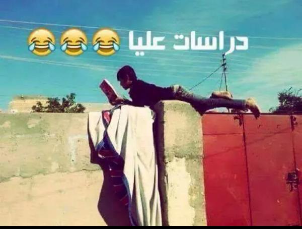 دراسات عليا هههههع 😂😂