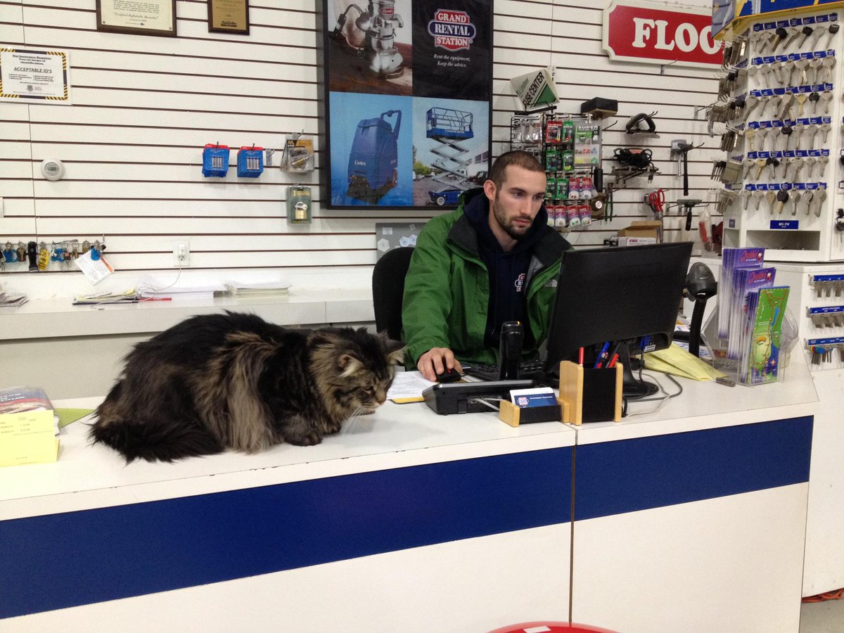 Grand Rental Station of Trenton, ME (GRSofTrentonME) Twitter