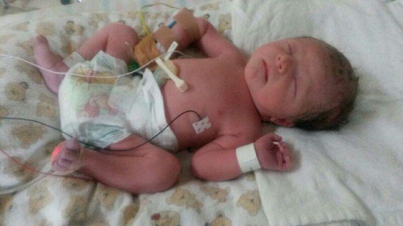 greatbar's tweet image. 