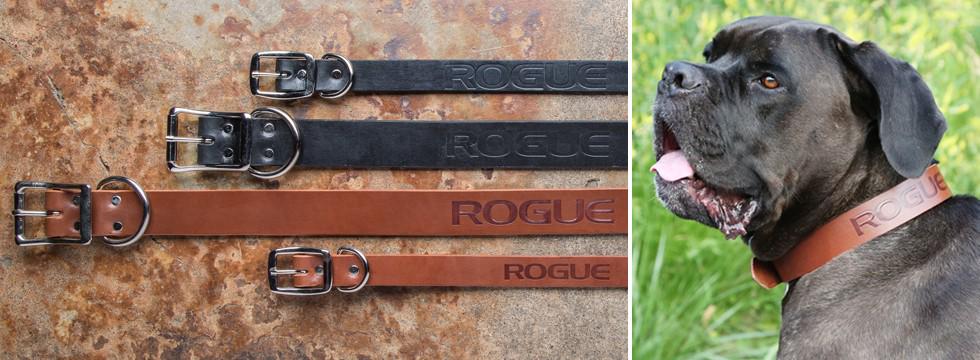 maxw4353's tweet photo. “@RogueFitness: We've got your dog covered

http://t.co/zxVh3iLlsB http://t.co/gQCRTfIWqG” @billy_hartman @Whitlhartman for miller dog