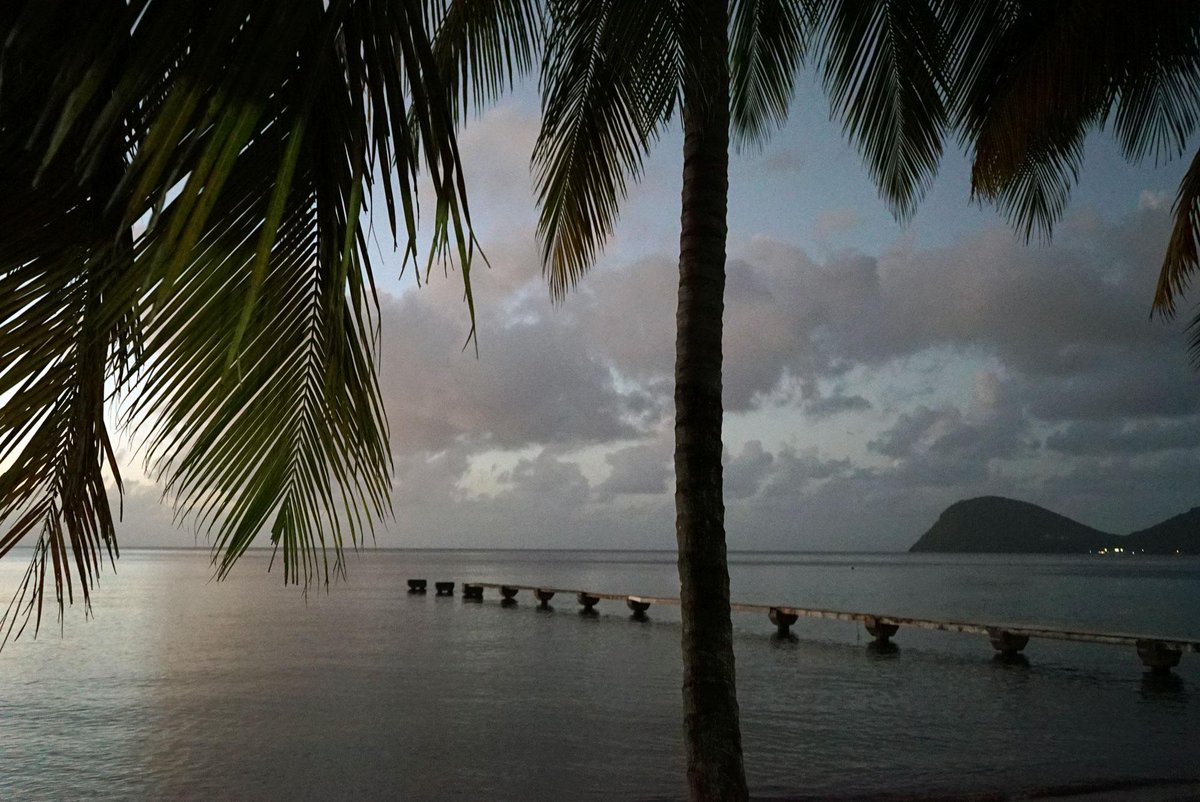 gridinoc's tweet image. current view #hackerbeach