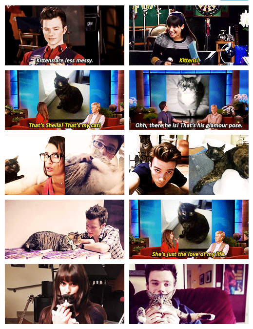 museraphoria's tweet photo. “@KlaineCentric: Colchele like the biggest #catpersons http://t.co/StsTnkSbNY” @Everxse Trop cuuuute ☺️