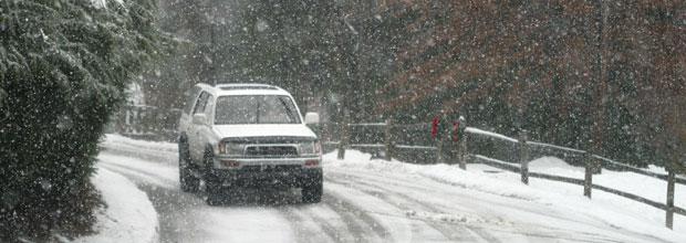RACE_es's tweet photo. Bajo los árboles, o en zonas sombrías de la #carretera, podemos encontrar #hielo a primeras horas del día. Cuidado!!! http://t.co/MhEoln2Nzi