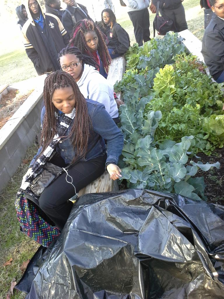 williamsewell8's tweet photo. @WoodlawnGarden more harvest pics http://t.co/NEIT62qeuN
