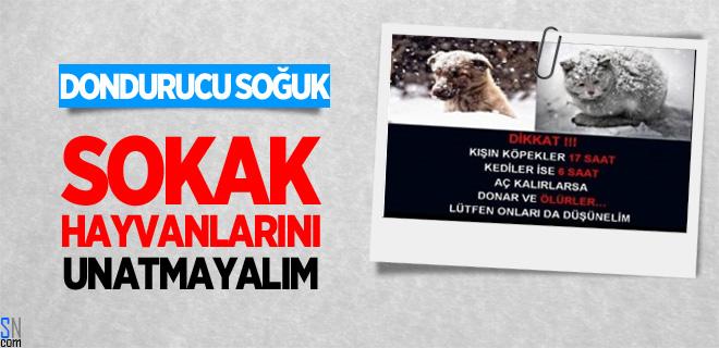 EnZevkliProfil's tweet photo. Duyarlı olmamız gerekiyor... http://t.co/7udF7vI3OV