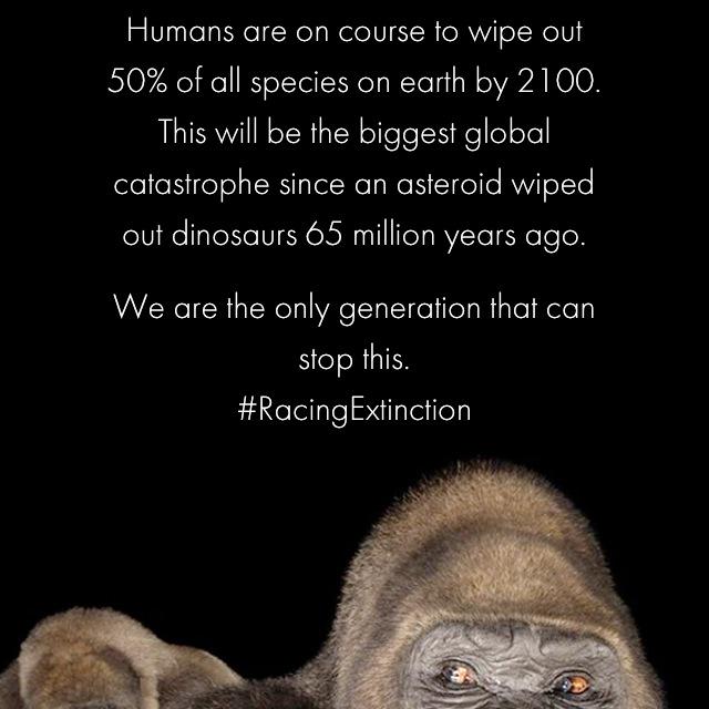 delga_dj's tweet image. You’re either an activist or an accomplice.  
#RacingExtinction #RenewableEnergy #WOMC