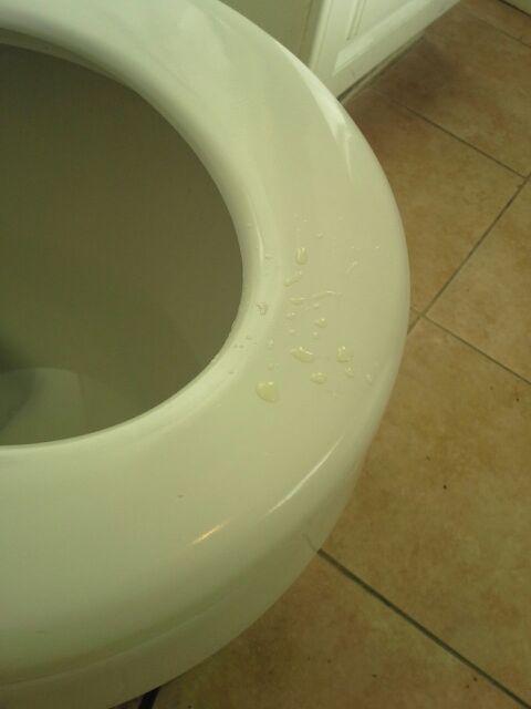 How disgusting and rude! I let you come over to my place and this is how you treat me?!!! http://t.c<a href="/tag/la"class="tags"><span>#la</span></a>