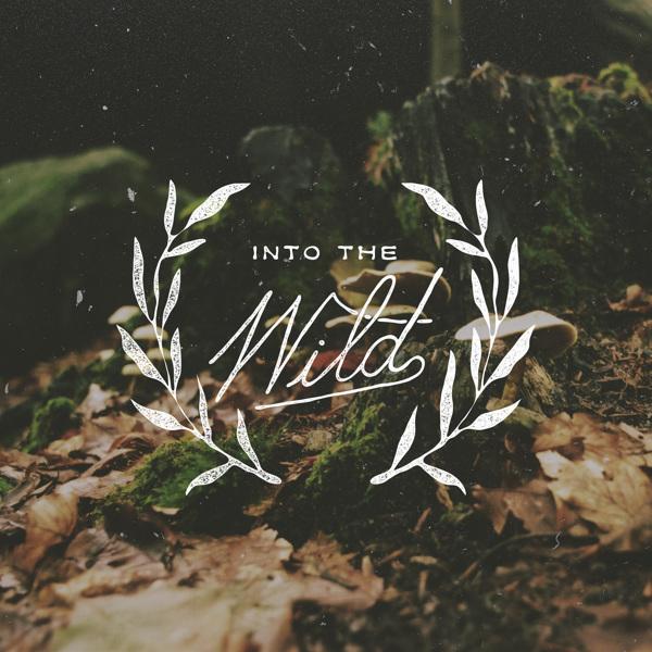 Cabin Bloggers (@cabinbloggers) on Twitter photo 