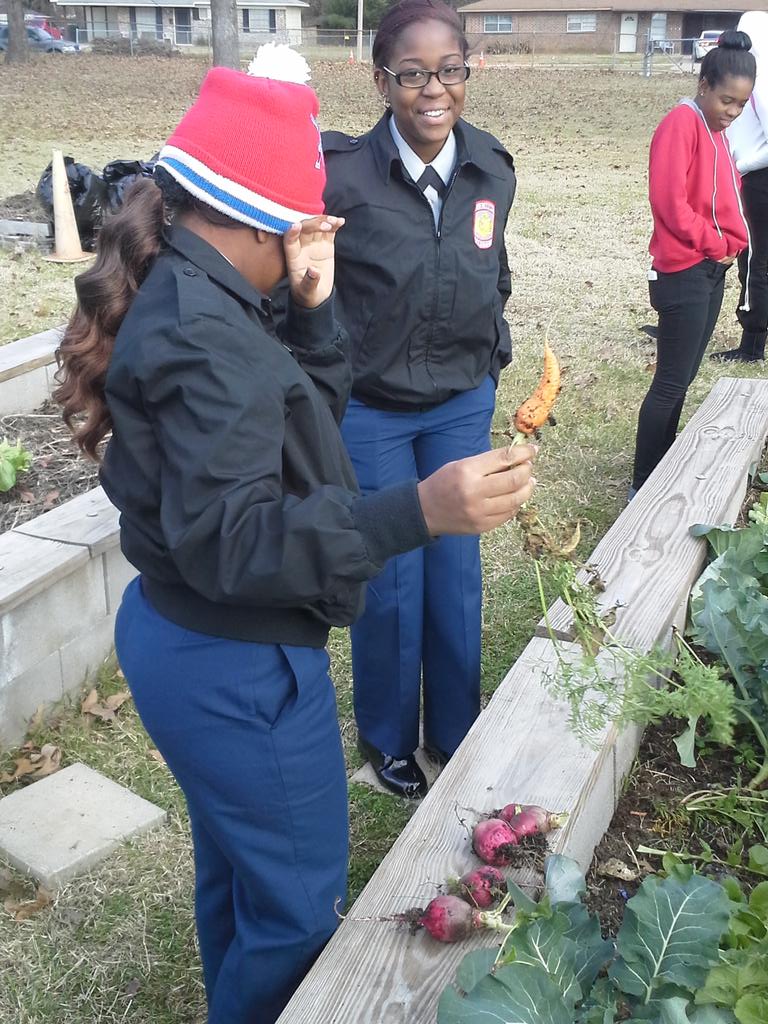 williamsewell8's tweet photo. @WoodlawnGarden even more winter garden harvest pics good job woodlawn http://t.co/o5C71BWQ3c