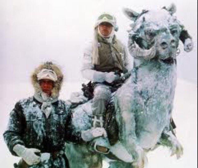 If it's too cold for you, it's too cold for them. Bring your Tauntauns inside #takecareofyourpets