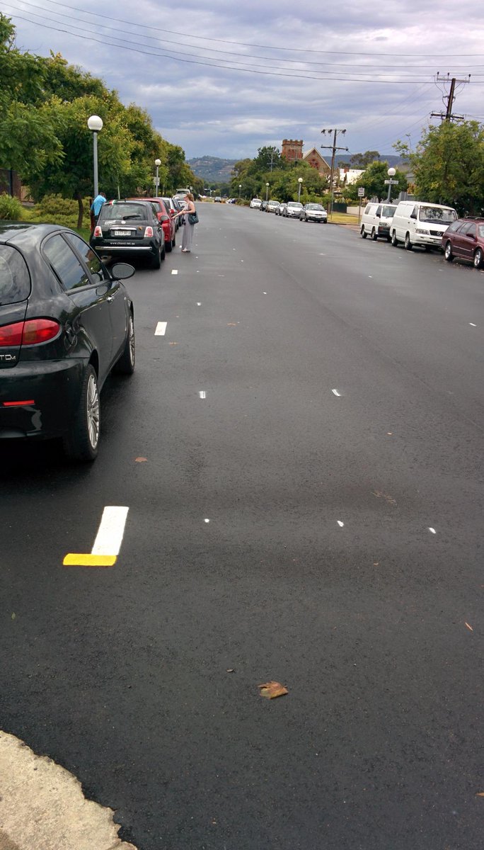 IanRadbone's tweet photo. @BikeInstituteSA bike lane "spotting" spotted on Halifax St.  Welcome development http://t.co/jSg8fFuJZL