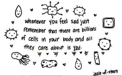 😌🌸☀️💗☺️