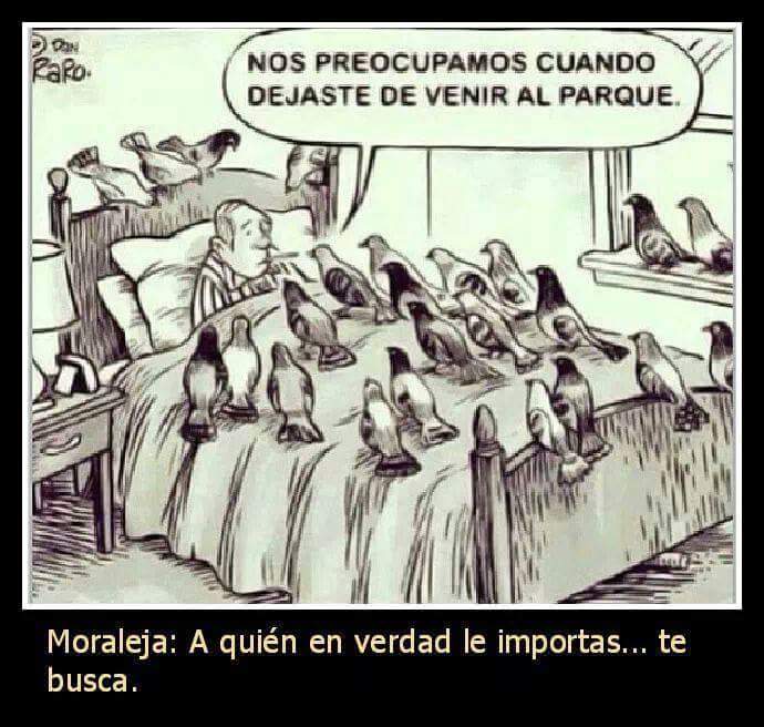 PatriVillalba3's tweet photo. Buenas noches :) http://t.co/dgNz9s1oZQ