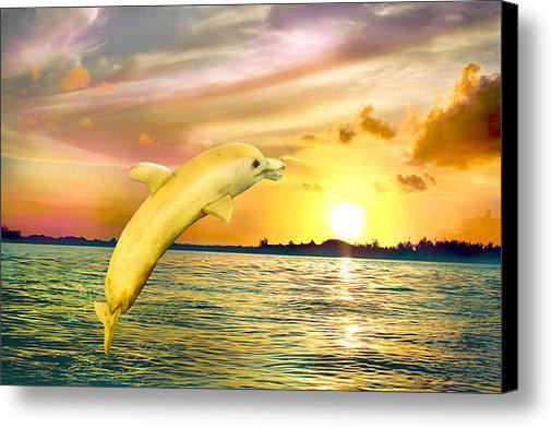 AlModeArt's tweet photo. New artwork for sale! - "Dolphinana" - http://t.co/9d5RqdJsTc @pixelswebsite http://t.co/xxy9HqnddX