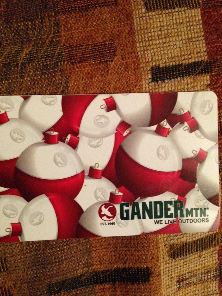 MN Fishing tweet media