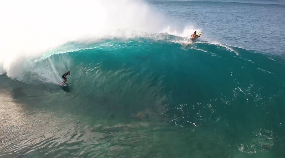 Surfline tweet media