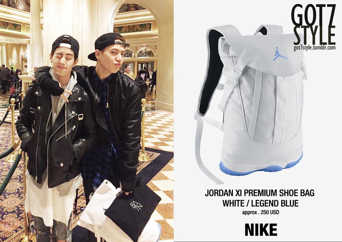 jordan xi premium bag