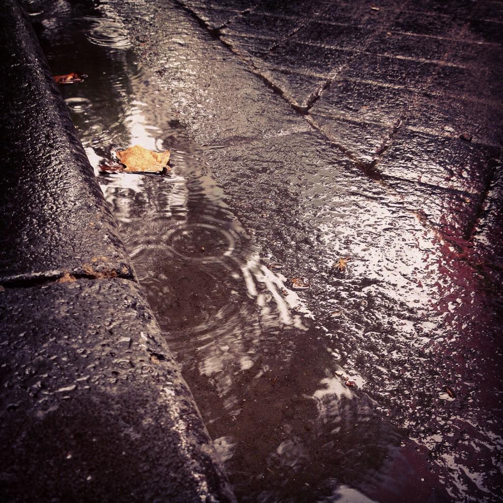 FattoMelbourne's tweet photo. #nobodylikesasoggyspritz https://t.co/azxWxKLq3B http://t.co/QTIytbUDAz