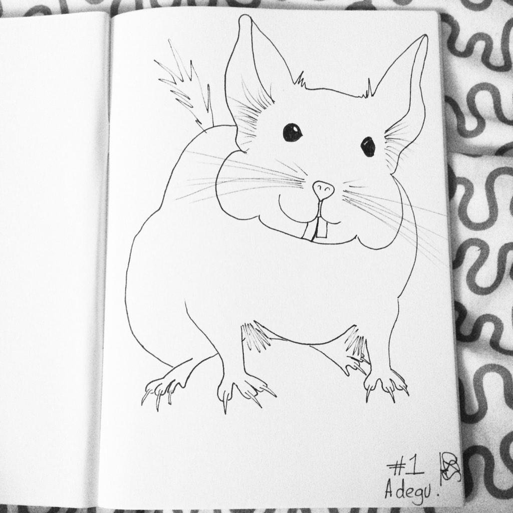 OutlawedBones's tweet photo. Day 1: a degu #30daysofdrawings #drawingchallenge #degu http://t.co/JkaGogAbx4