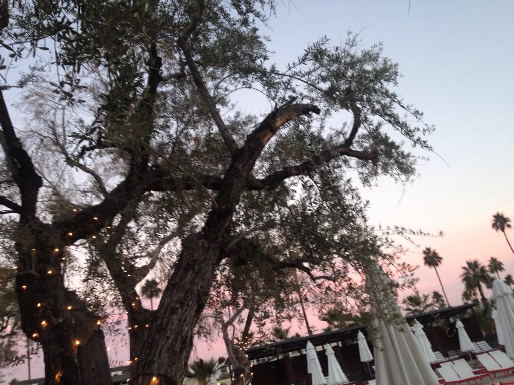 fsqofficial's tweet photo. #TBT @chuckdafonk Throwing down with @allnightshoes @haciendacantina in #PalmSprings #FSQOfficial #nudisco http://t.co/90YvNEwgde