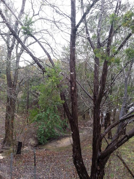 Finding the beauty in the crud. #backyard #beauty #beautiful #nature #countrylife http://t.co/OPSMQS<a href="/tag/backyard"class="tags">#backyard</a><a href="/tag/beauty"class="tags">#beauty</a><a href="/tag/nature"class="tags"><span>#nature</span></a><a href="/tag/beautiful"class="tags"><span>#beautiful</span></a><a href="/tag/countrylife"class="tags"><span>#countrylife</span></a>