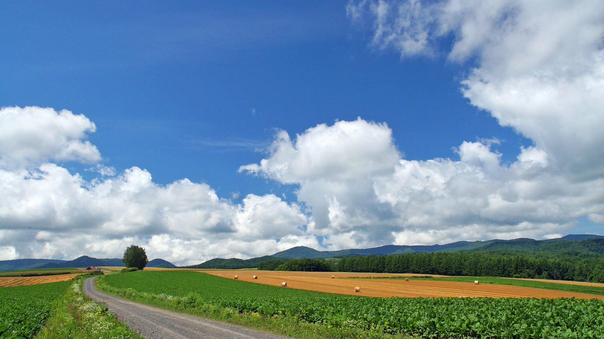 Farm road. Пейзаж Горизонт. Природа небо. Поле Горизонт. Небо поле панорама.