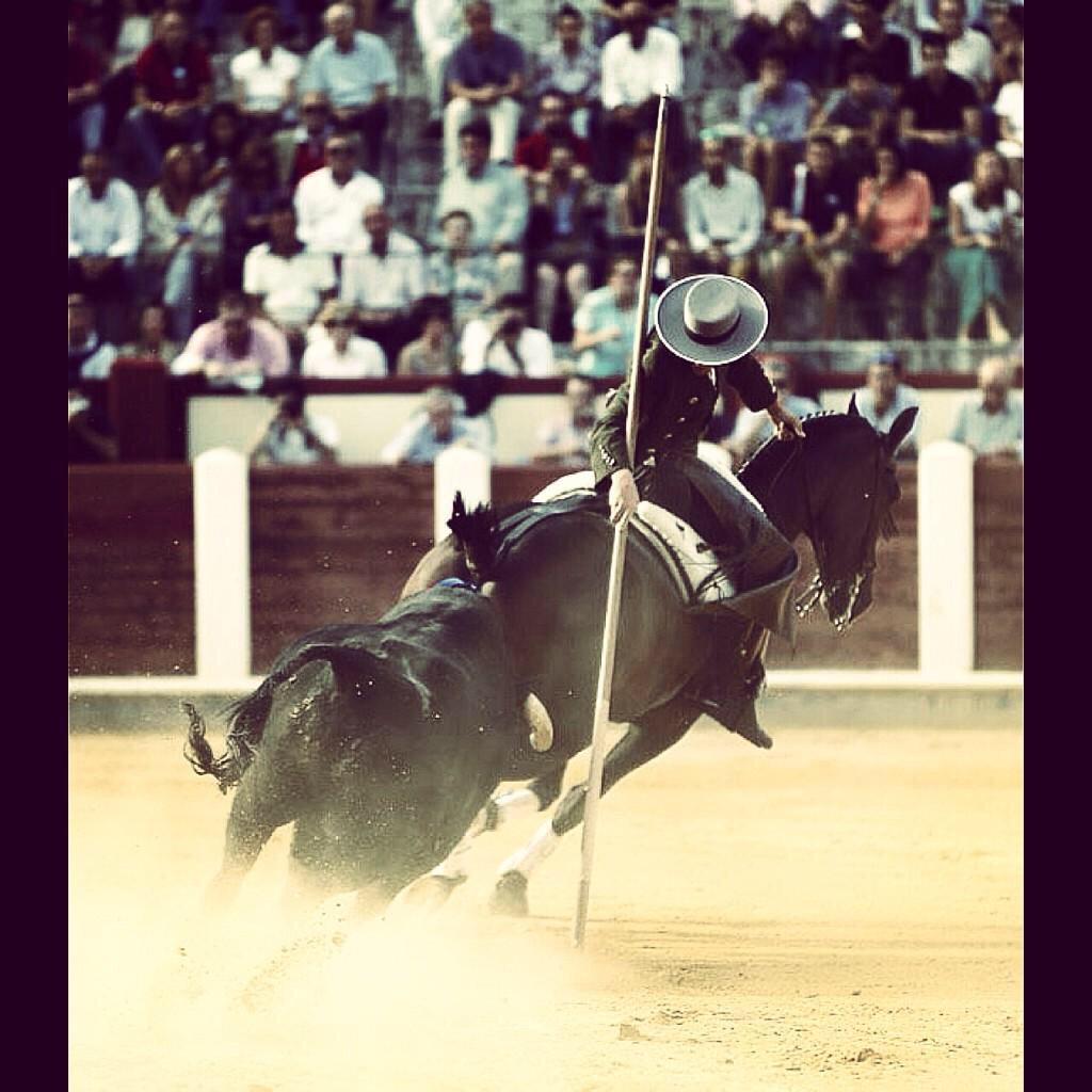 Buenas tardes!!! Os dejo una fotito !!