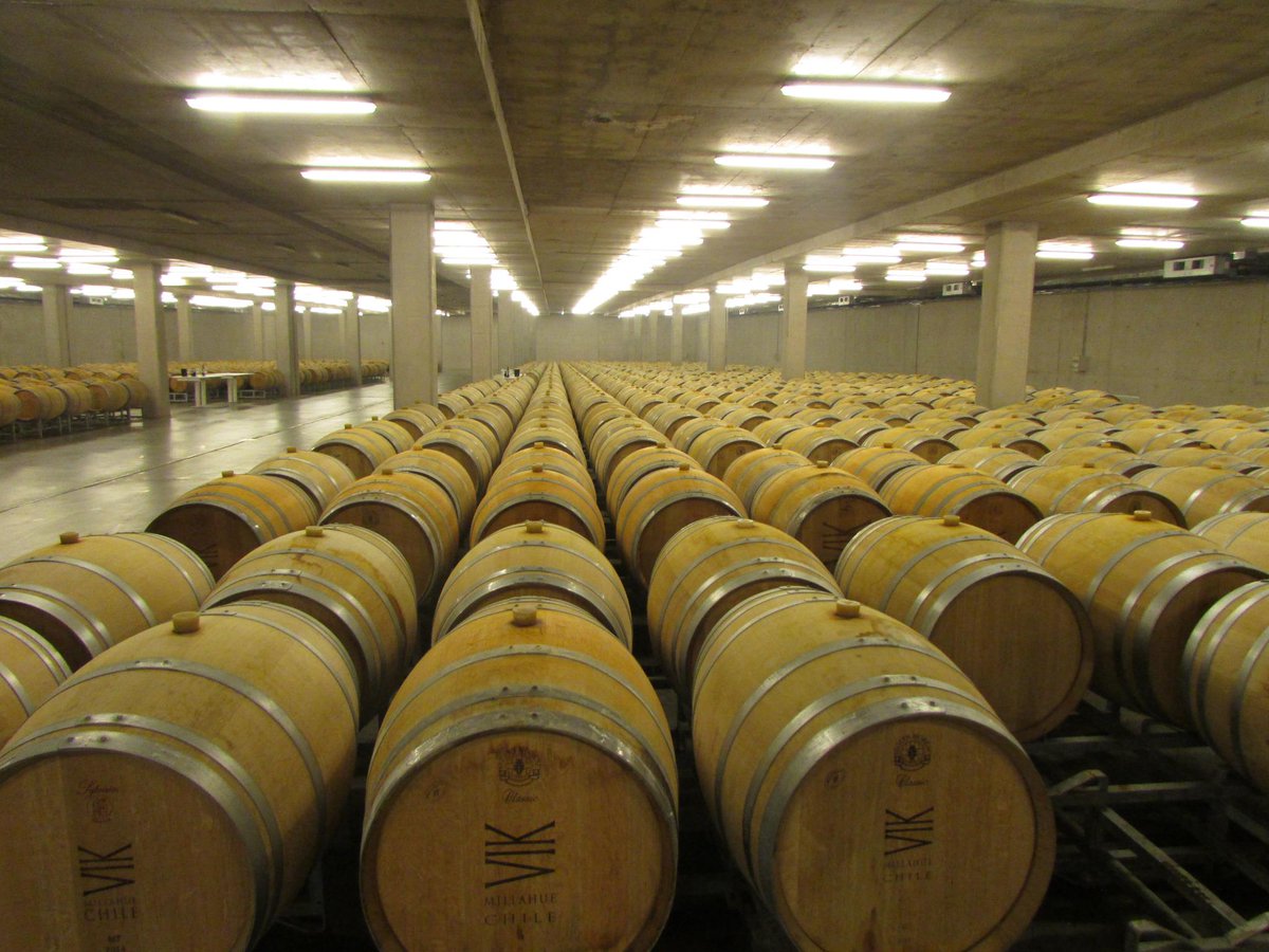 EladioVicuna's tweet photo. Gran proyecto de enoturismo de Viña Vik,con bodega y hotel muy vanguardistas y modernos,un verdadero lujo para Chile. http://t.co/hgYy3rOzUM