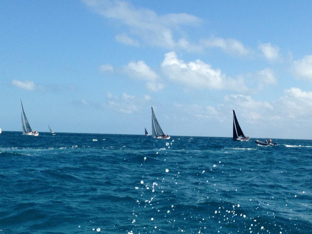 Race 8: Red off to a good start in the final race for today, decision and diesel just below them
