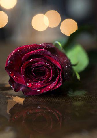 مساء الخير لجميع