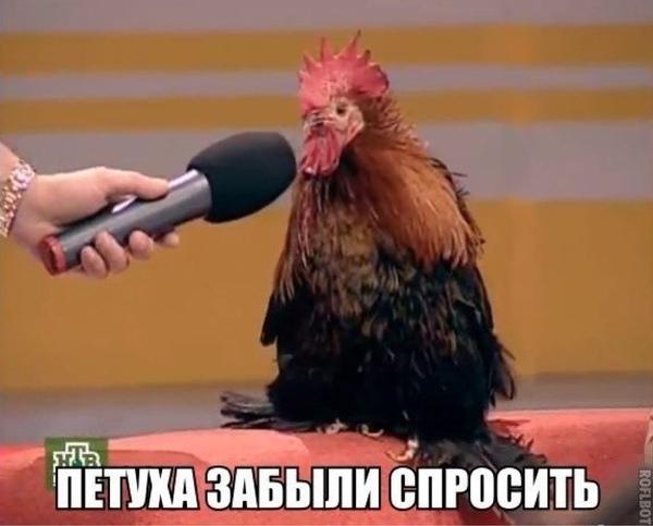 Киевляне почтили память погибших на Майдане - Цензор.НЕТ 6874