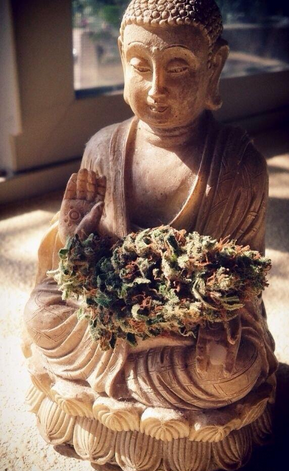 RipThatBongBro's tweet photo. Budha http://t.co/5GKLHuFoQT