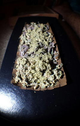 RipThatBongBro's tweet photo. Retweet if you want to smoke this! http://t.co/na9i4gibl6
