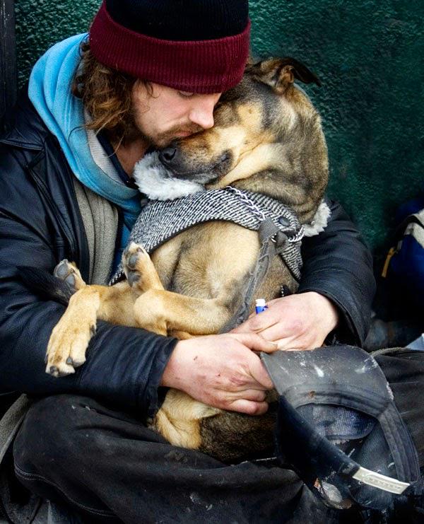 zbleumoon's tweet photo. 💙💙💙 We can judge the heart of a man 
by his treatment of animals. Emmanuel Kant https://t.co/SFTtEof1Hd