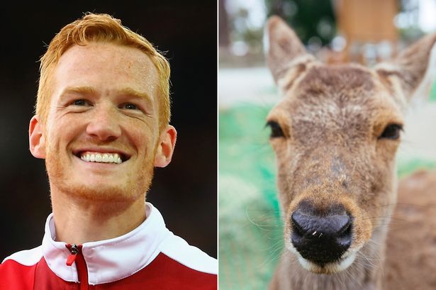 DailyMirror's tweet photo. Olympic star Greg Rutherford carries injured deer TWO MILES in attempt to save animal's life http://t.co/LOwGYjpeAe http://t.co/4iWay2jXfX