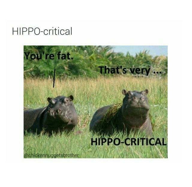 robone07's tweet image. 