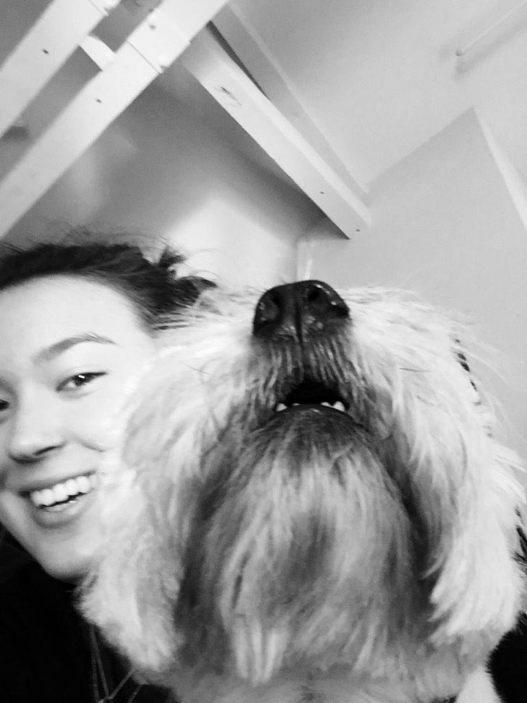 LauraBehrensWu's tweet image. Bringing a dog to a partnership negotiation - well played! #weakspot