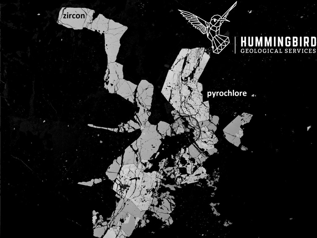 hummingbirdgeo's tweet image. #Zircon &amp;amp; #pyrochlore in a #syenite. #ThinSectionThursday
