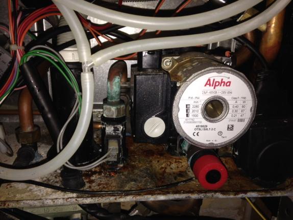 elementheating's tweet image. Has there ever been an Alpha boiler that hasn't leaked inside!!!