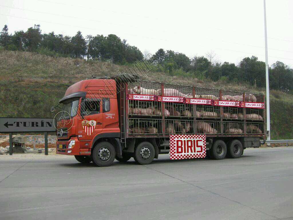 CheNFurecido's tweet photo. Parece q los Biris si q vienen finalmente a Mestalla.
@HumorBetico__ http://t.co/HN6BYcuPJS