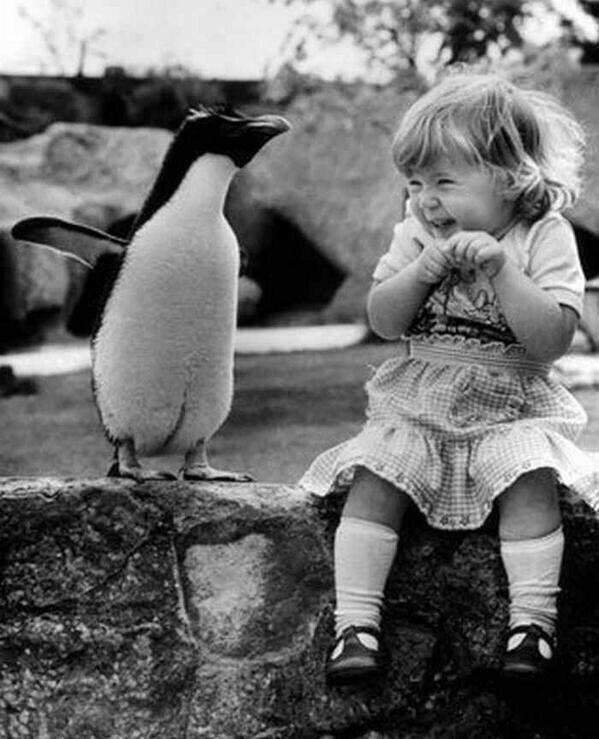 Happy #PenguinAwarenessDay everyone