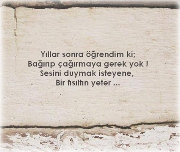 Her gün 1 Yeni Bilgi tweet media
