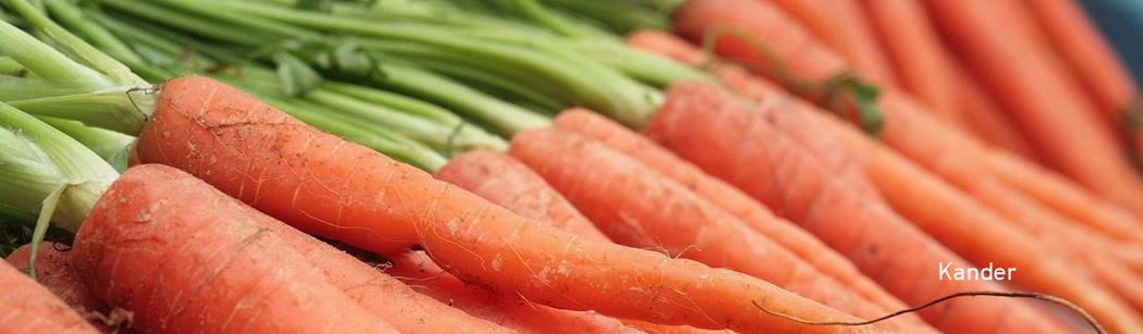 Chicago's 3 best spots for healthy food, ft. <a href="/GreenZebraChi/">Green Zebra</a> <a href="/chicagodiner/">chicagodiner</a> <a href="/Kitchfix/">Kitchfix</a> mstr.cd/1xua3LS