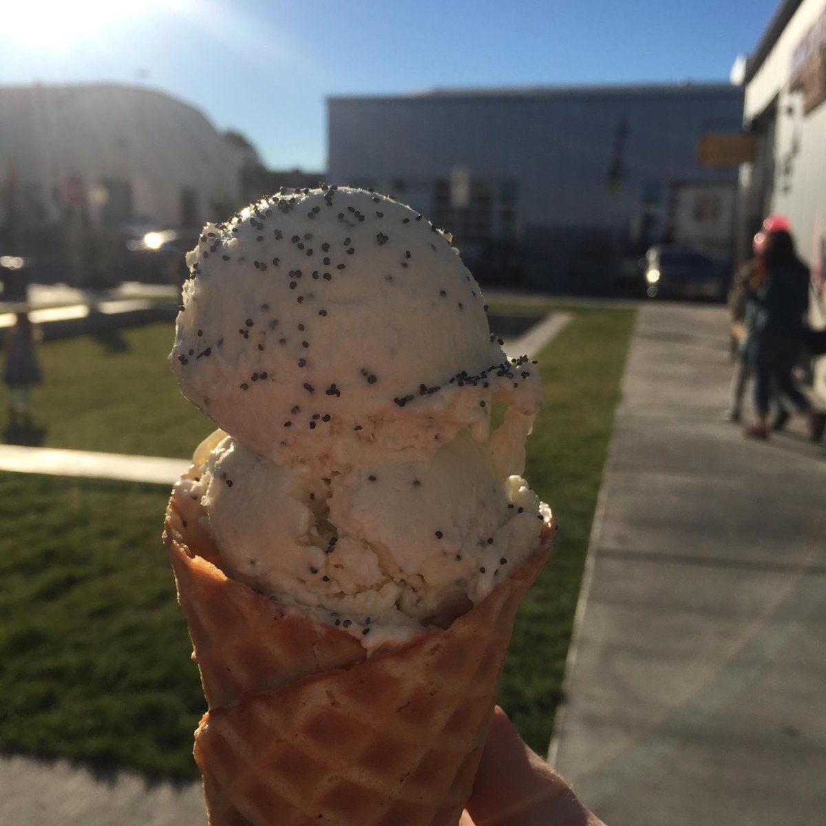 VFCheeseCo's tweet photo. Something new! “@TheBarlow707: Lemon Poppy Seed = flavor of the month at Sub Zero. #worthit http://t.co/YFad0mjbo2”