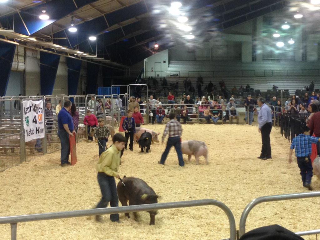 The future of the #swine industry is bright These are our 4th graders #showmanship #tn4hhog15 #AdvancingTN