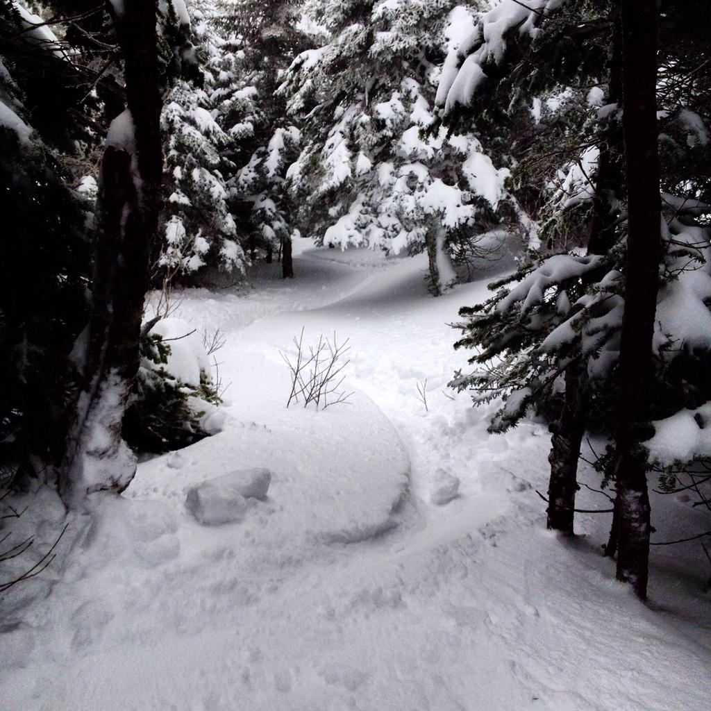 CheckYourPins's tweet photo. Sloppy seconds. Not ideal but it'll do. #vt #snowboarding http://t.co/GBRjdj3omP
